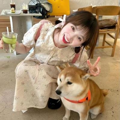 爸爸的木房子